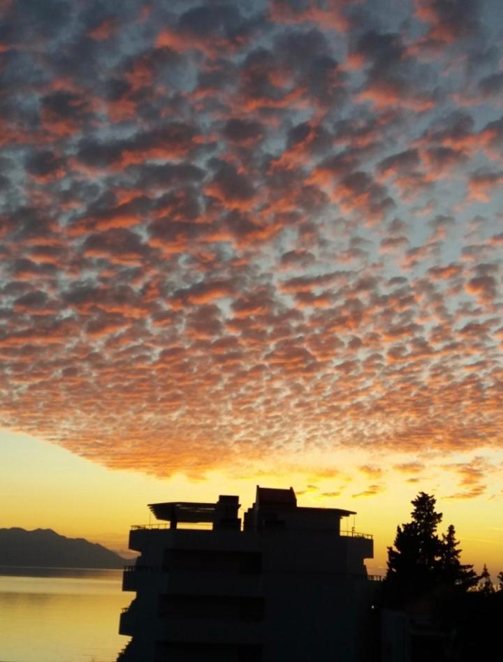 Ivana Apartamento Gradac (Split-Dalmatia)